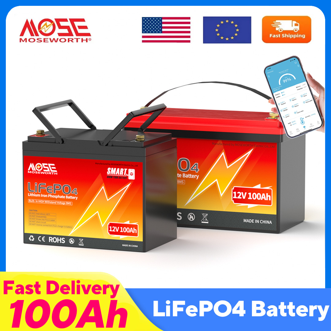 Lifepo4 12V 100Ah Bms Bluetooth - MOSEWORTH LiFePO4 12V 100Ah batería de